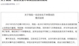 校园事件爆料案例视频,揭秘校园暴力背后的真相